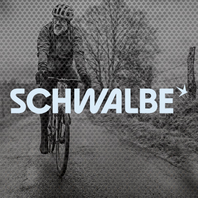 Schwalbe